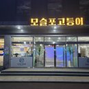 모슬포에서 | 제주시 고등어회 모슬포고등어 후기