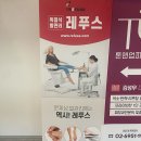 네일리코레푸스 이미지