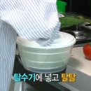 데일리샐러드