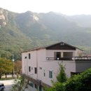 스타민박 이미지