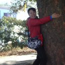 소원펜션 이미지