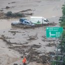 주먹구구 이미지