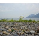 자갈마당 이미지