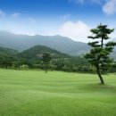 엠스클럽의성(18홀) 이미지