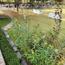 광호목장 이미지