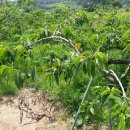 서림농장 이미지