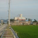 설도주유소