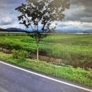 장흥 3리 이미지