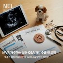 건강한 콩팥 유지하기 | [공지] [안내] 개심술(MVR) 자주하는 질문(1) : 수술 전 고민, 적절한 시기와 방법은?