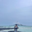 호이오식당 | [제주] 제주여행 2 (우진해장국, 제주도 스타벅스 시그니처 음료, 이호테우 등대, 냉우동 협재 수우동...