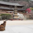 화엄사1로 이미지