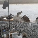 초전마을야영장 이미지