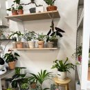 오디너리 가든 이미지