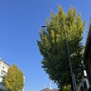 이마트24 R이태원점 이미지