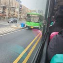 구일우성(아) 이미지