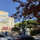 금락4리 이미지