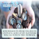 화산어촌체험마을