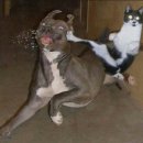 통영아구찜 이미지