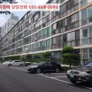 포항시북구81 네이버블로그