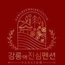 강릉애 진심 이미지