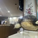 금강복집 이미지