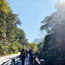 봉화 청량산 870m 100대 명산(청량사-자소봉 873.7m-탁필봉-연적봉-하늘다리-장인봉)