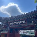 (주)케이티앤지수안보수련관 | 대학생 마케터🐥] 상상유니브 소소디4기 대상 수상팀🥇후기 2편- 인큐투어 (마케팅 분야 대학생 대외활동)