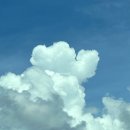 가족체험 | 괌 스타 돌핀 크루즈 체험 후기, 가족 여행 추천 멀미 꿀팁