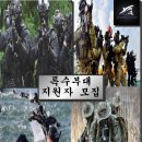 Team Shark 이미지