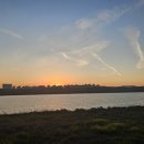 구이가 덕소점 | 덕소 한강삼패공원의 일몰과 장어 맛집 '한강으로온 장어' 내돈내산 시식후기..