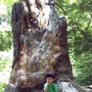 태승목장 이미지