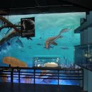 자연사박물관우석헌 이미지