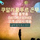 해외 유명 Travel Industry - 항공 및 호텔 예약 관련 Customer Service 업무 이미지