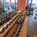 브로피트니스 복대점 이미지