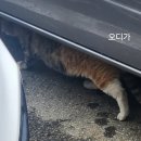스카이노래래짱 | Mar