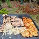 비자곶 | 제주감성펜션 비자곶펜션 비자림점 힐링 제대로 했습니다~!