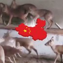 김형근농장 이미지