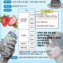 금빛리아트미술학원 - 순천시 왕지1길 7 | 금빛리아트미술학원