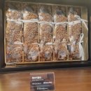 송도갈비 송파문정점 (주)신화푸드 | 신화푸드그룹 신화창조 객원기자 율동공원 갈비맛집 송도이동갈비 탐방기!!