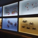 제주해양동물박물관 이미지