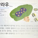 오세아니아 (Oceania): 팔라우 (Palau) 이미지