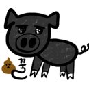 알로하제주스테이