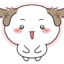 정가짬뽕 이미지