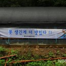 못난이 협동조합
