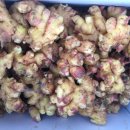 종생농장 이미지