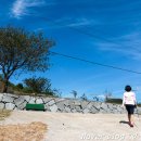 추섬민박 이미지