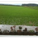 으뜸농장 이미지