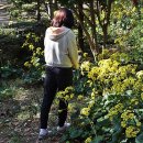 다시찾은 사랑ㅡ노란 털머위꽃 - by 모모수계 이미지