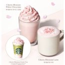 체리블라썸 이미지