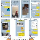 댕집사장 포메라니안 이미지